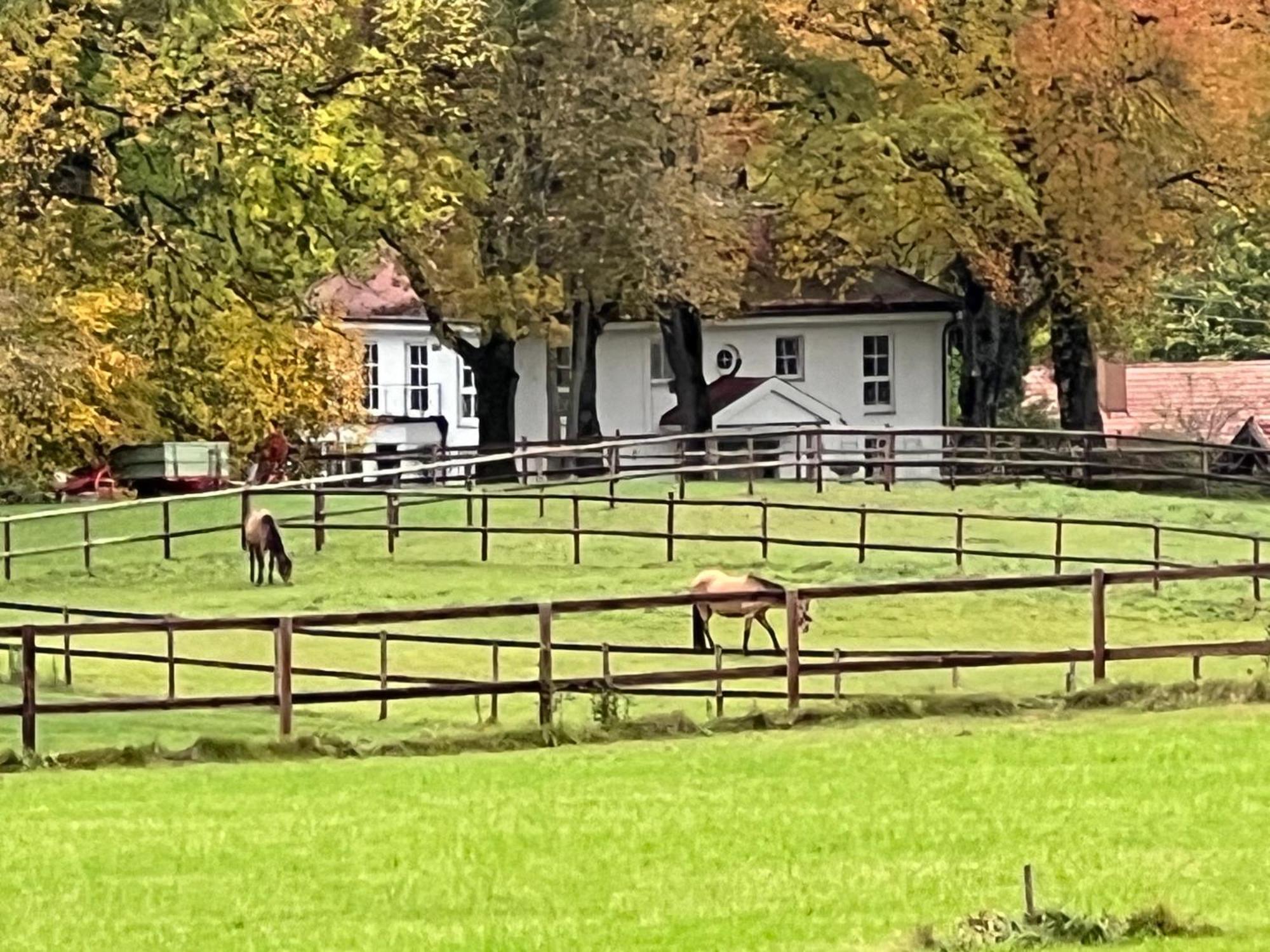 Herrenhaus - Starnberger See - Ammerland Münsing Exterior foto
